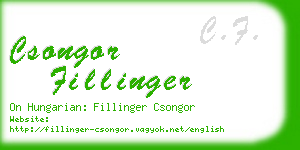csongor fillinger business card